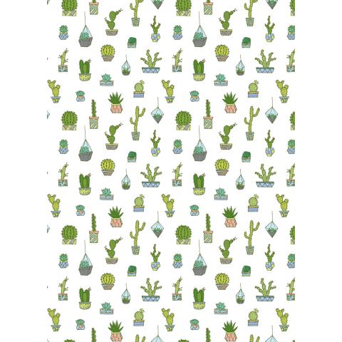 Blooms Cactus Journal